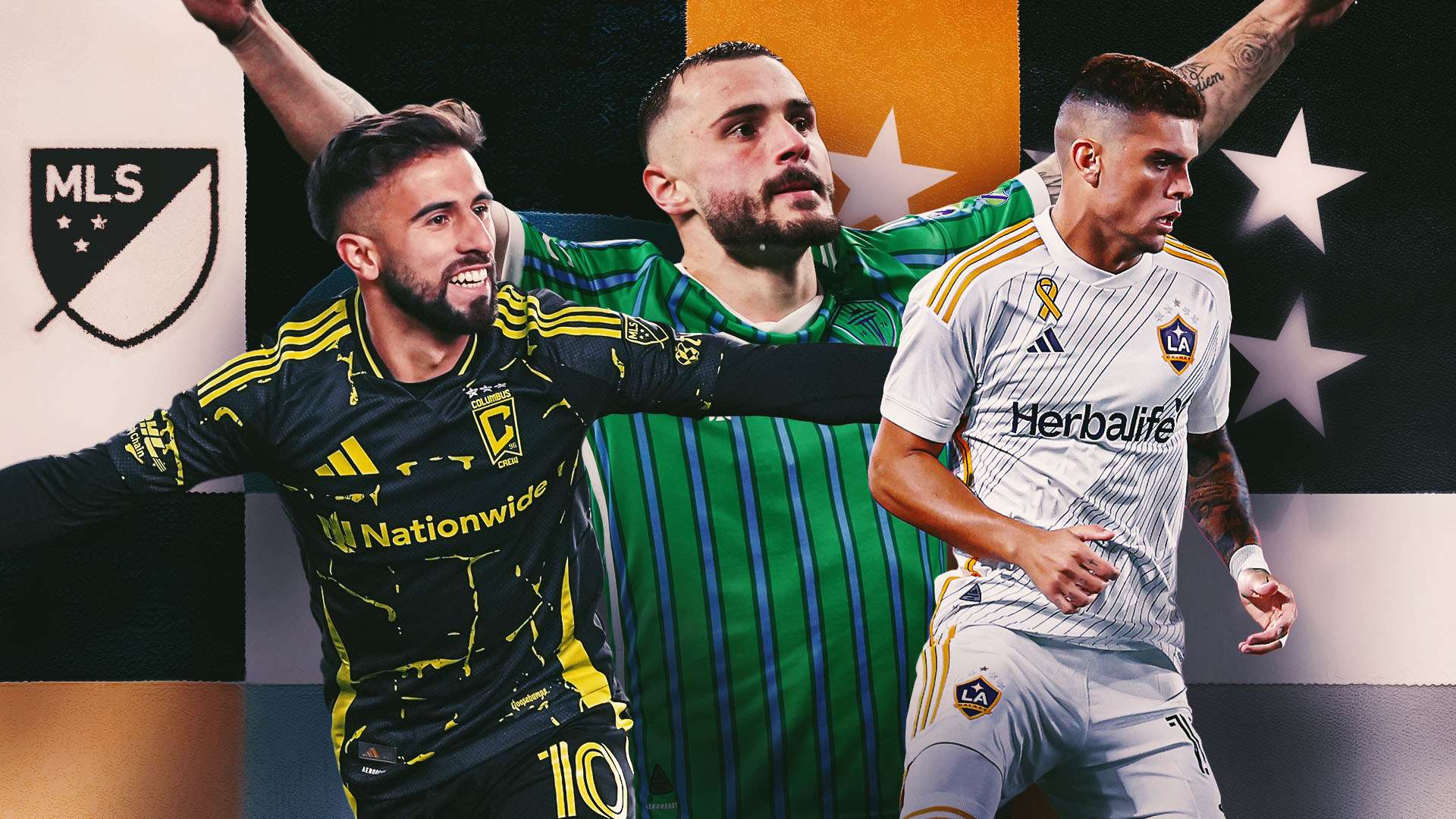 己的实力 己的实力